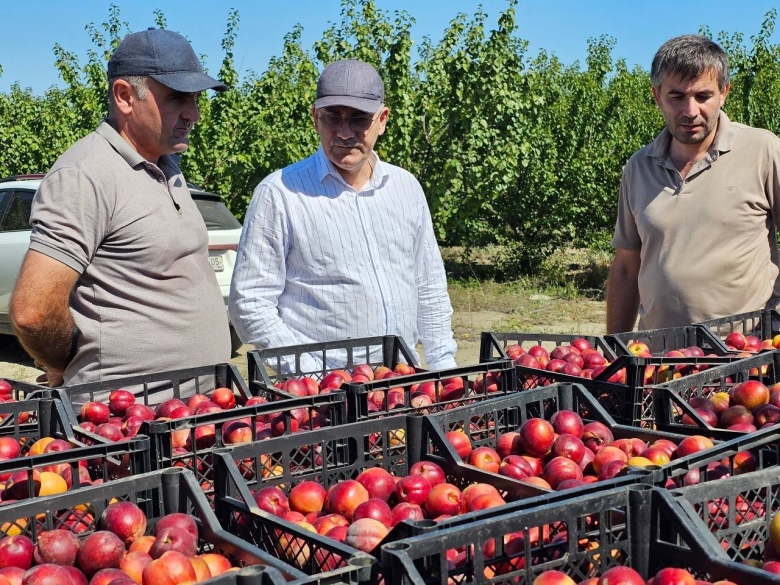 Аграрии дагестана