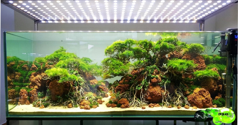 Акваскейп голландский стиль