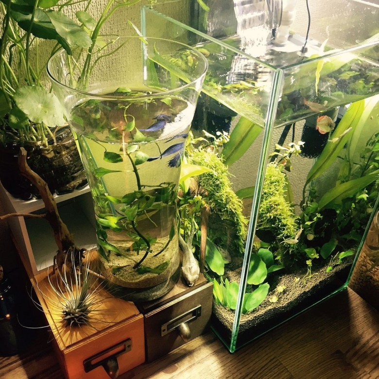 Террариумная стойка