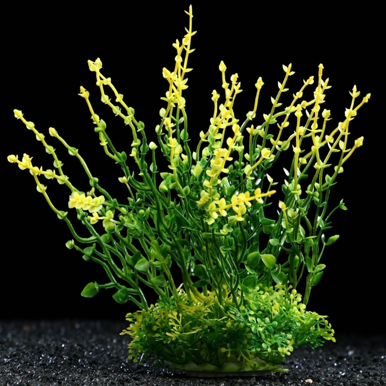 Искусственные аквариумные растения