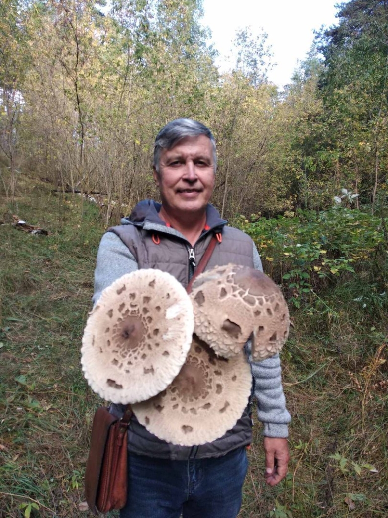 Зонтик пестрый