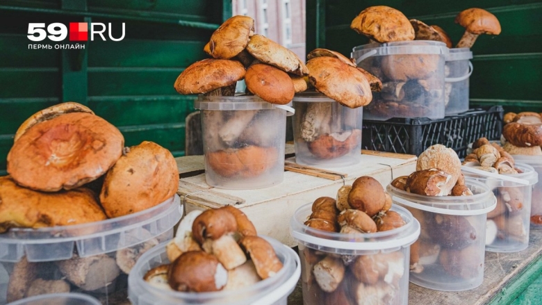 Грибы сегодня на Брестском рынке