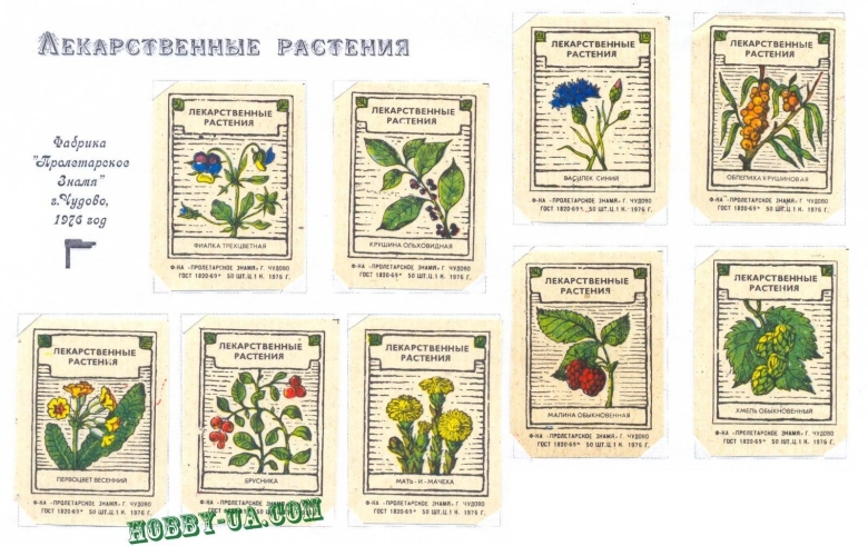 Лекарственные травы этикетки