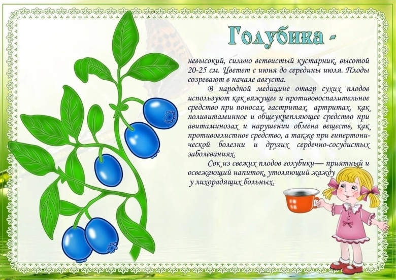 Картотека зеленая аптека