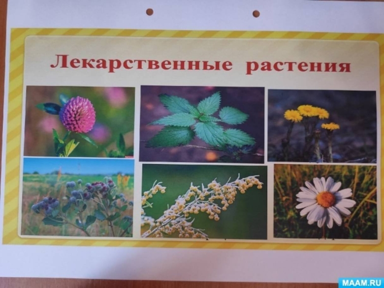 Игра Собери цветок