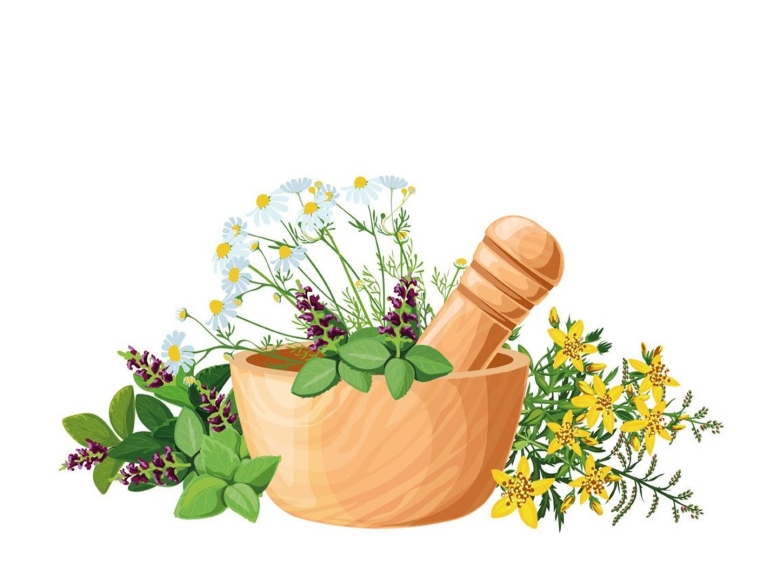 Лечебные травы на белом фоне