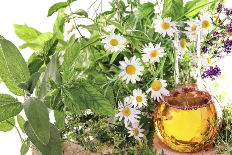 Коллаж из лекарственных растений