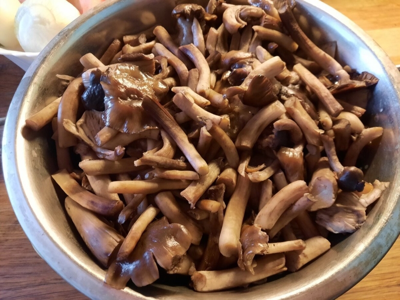 Заготовки из грибов