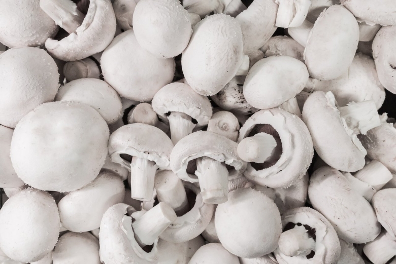 Грибы шампиньон Портобелло