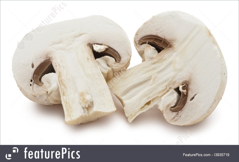 Гриб шампиньон в разрезе