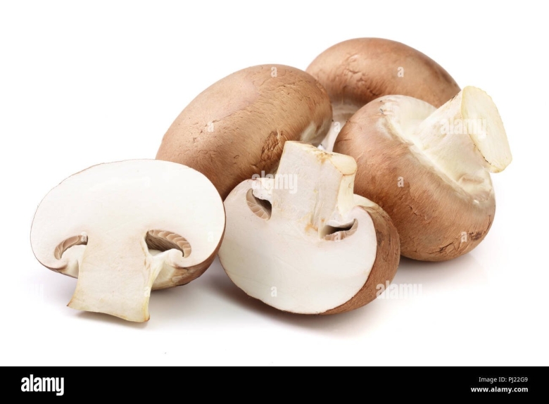 Грибы шампиньон королевский