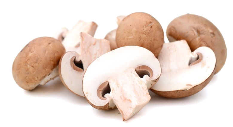 Грибы шампиньоны Королевские