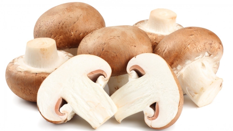 Грибы на белом фоне