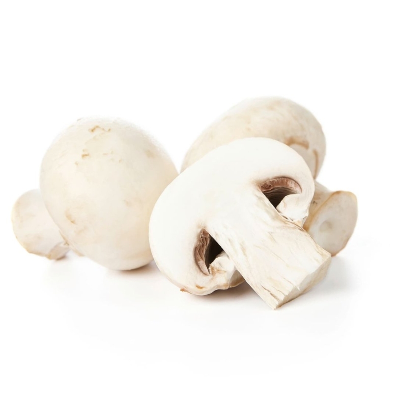 Шампиньон в разрезе