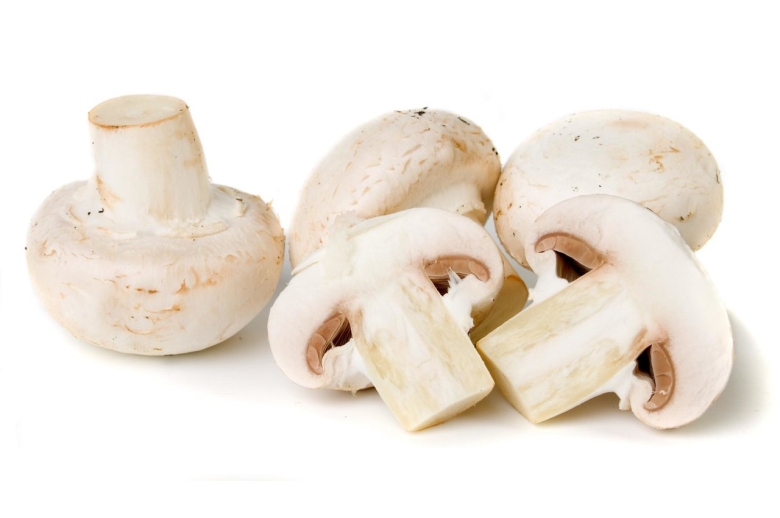 Шампиньон в разрезе