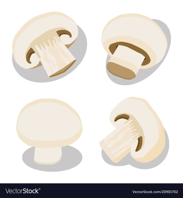 Шампиньон рисунок