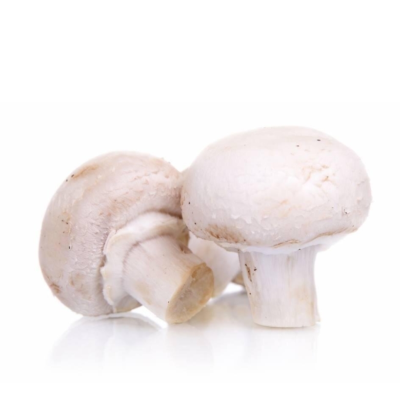 Грибы шампиньоны на белом фоне