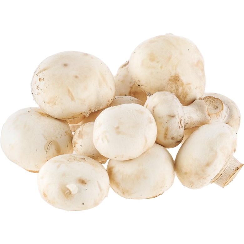 Грибы шампиньоны без фона