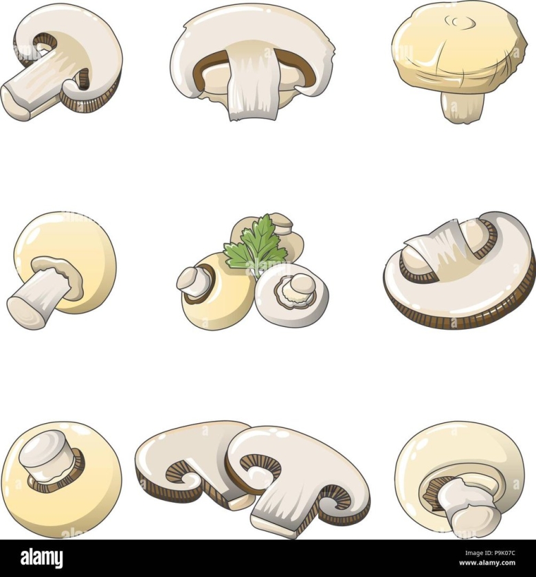 Шампиньоны рисунок для детей