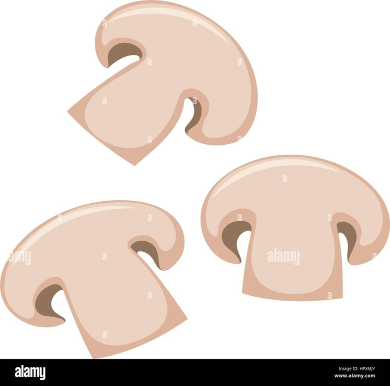 Шампиньон в разрезе