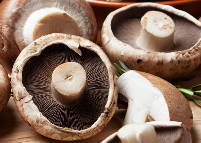 Грибы шампиньон портобелло