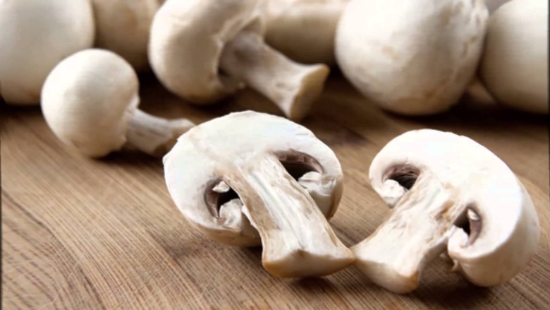 Шампиньон в разрезе