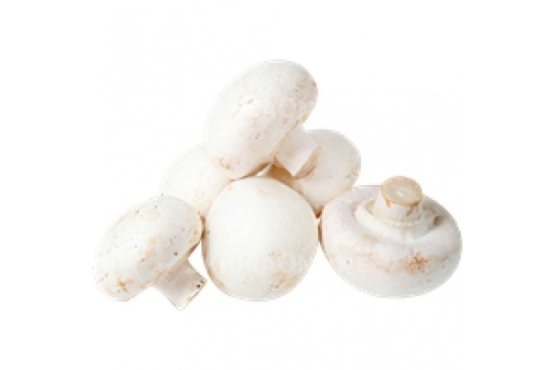 Гриб шампиньон белый