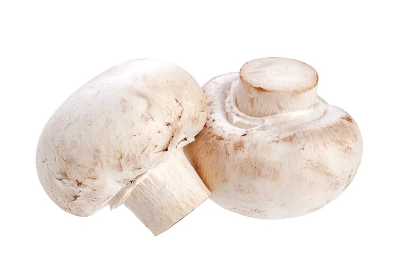 Шампиньоны на прозрачном фоне