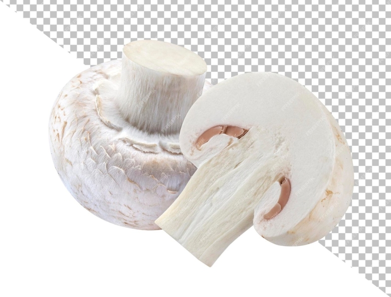 Гриб шампиньон двуспоровый