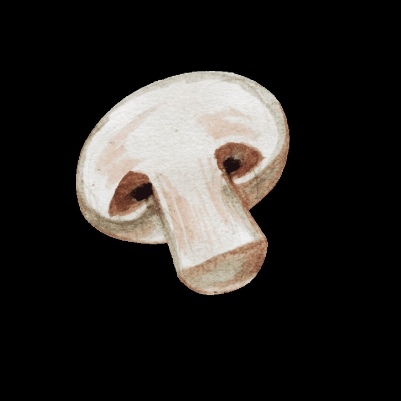 Гриб шампиньон