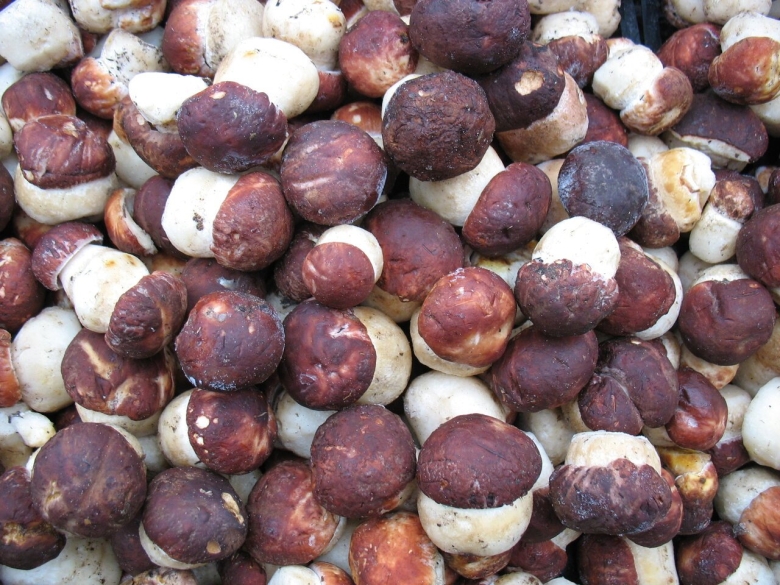 Грибы белые свежемороженые