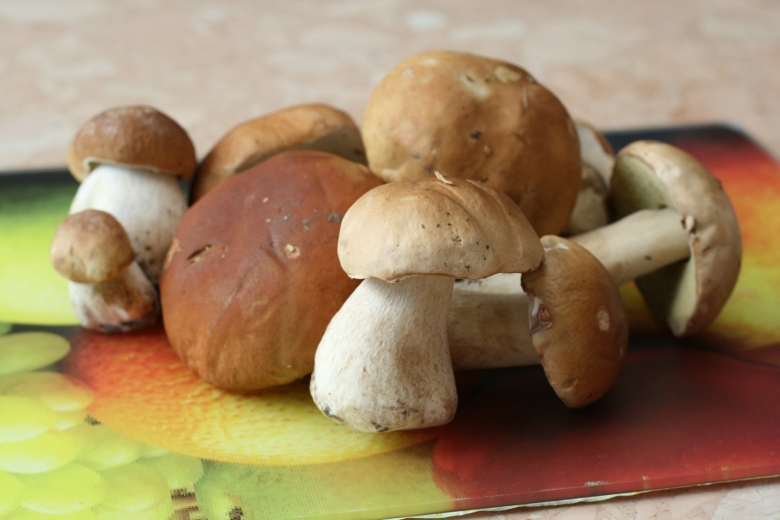 Белые грибы в тарелке