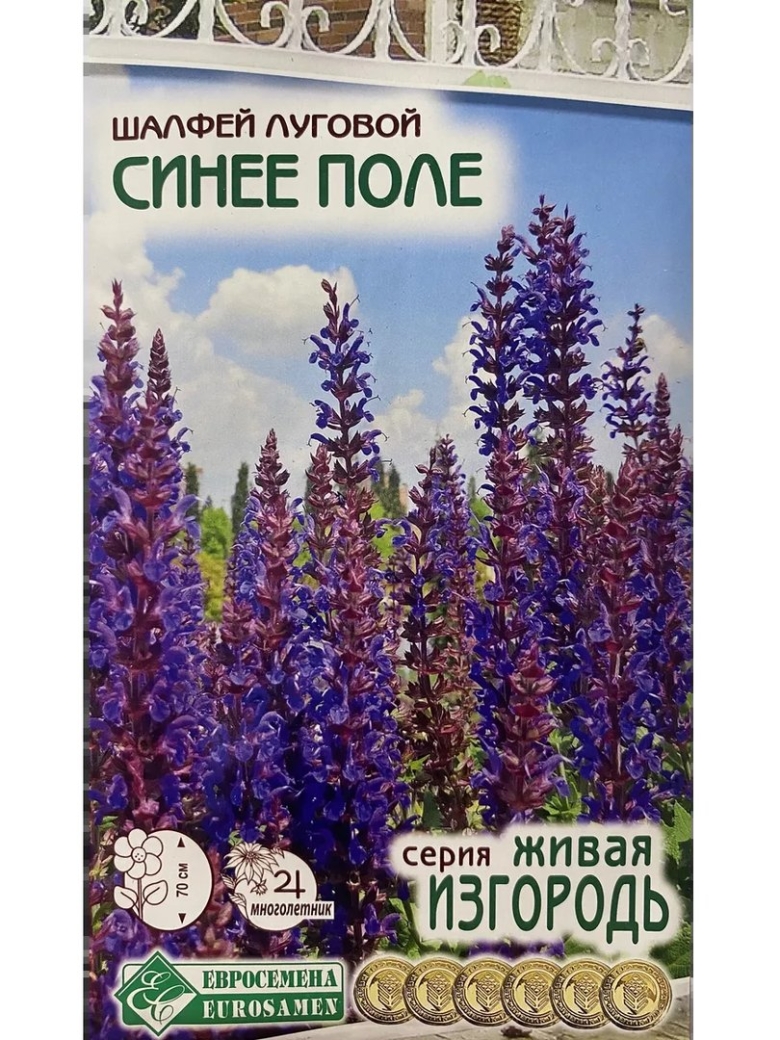 Шалфей луговой синее поле