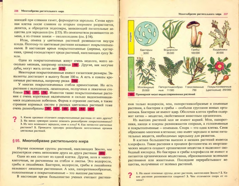 Примерное число видов современных растений