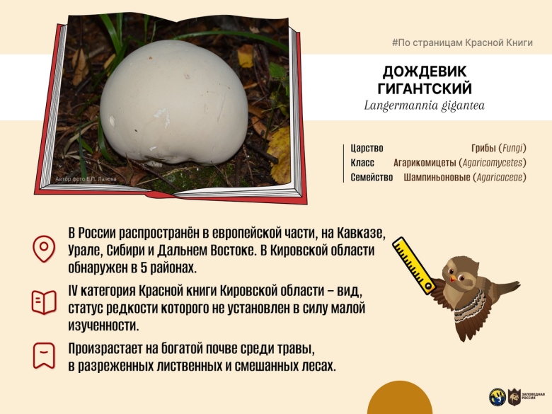 Заповедник Нургуш символ