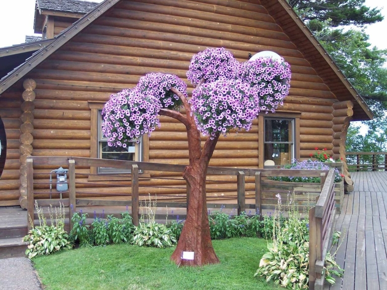 Пятуеиевле дерево