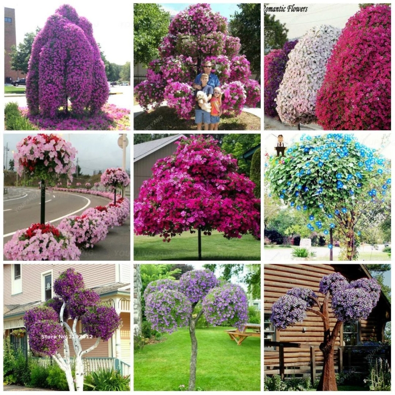 Петуниевое дерево каркас