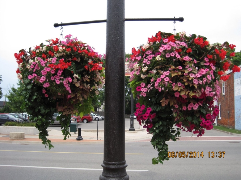 Петуниевое дерево конструкции
