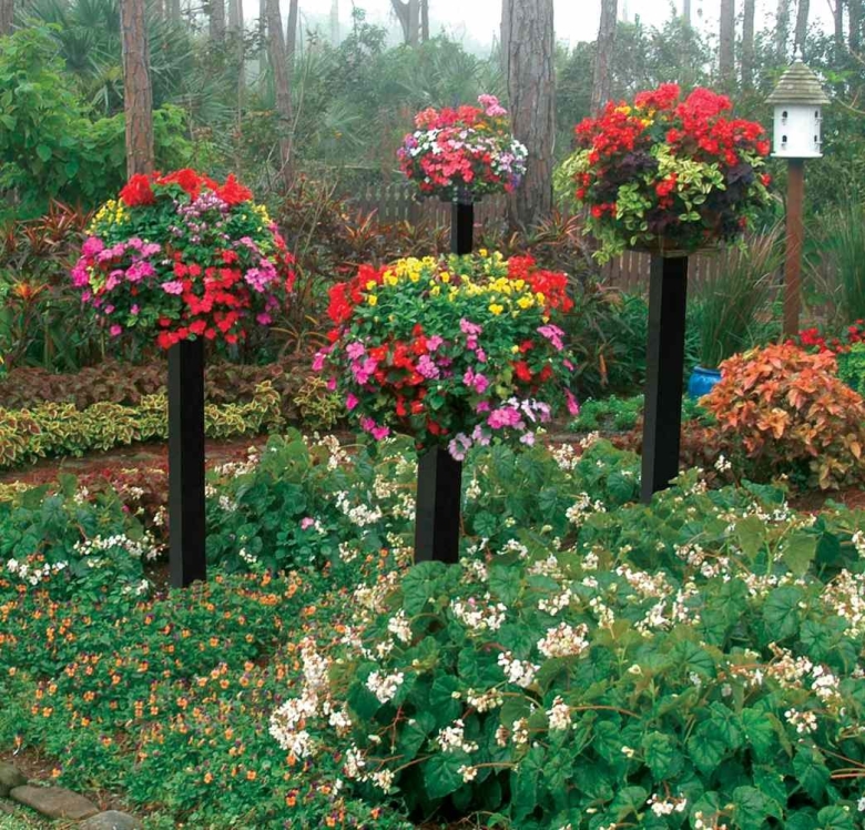 Памела Кроуфорд контейнерные сады