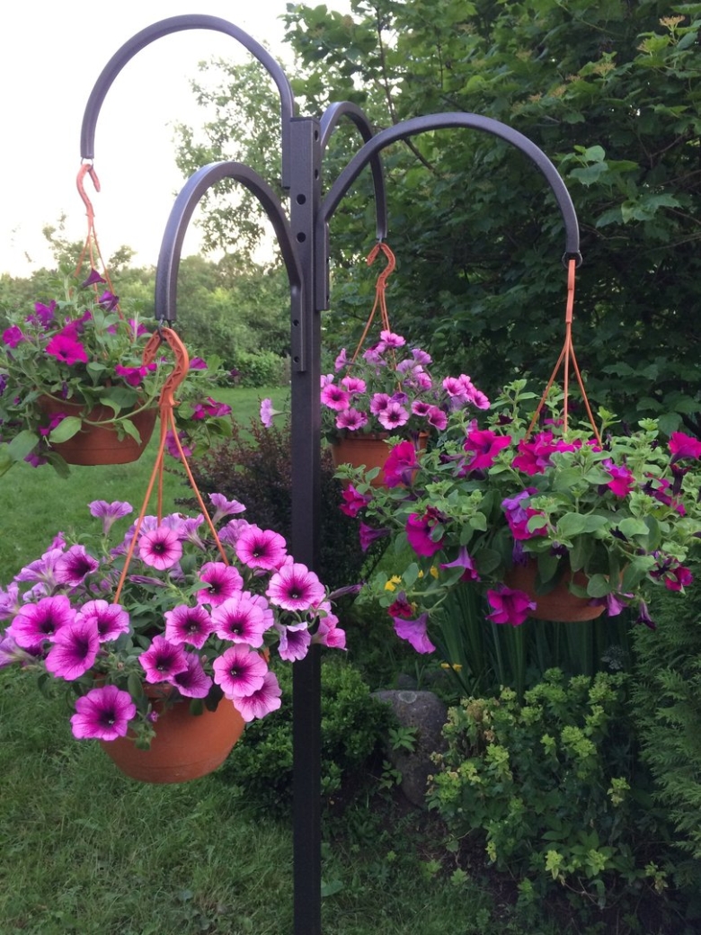 Петуниевая арка