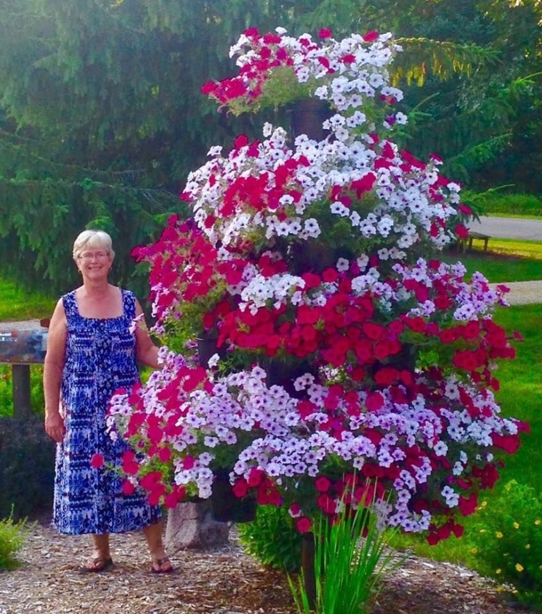 Петуниевое дерево Марина Патрина