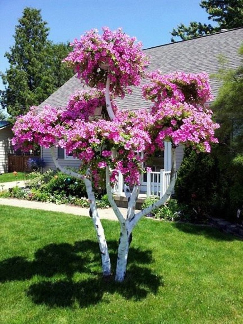 Рододендрон штамбовый