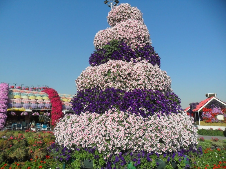 Клумба горка Альпийская петунья