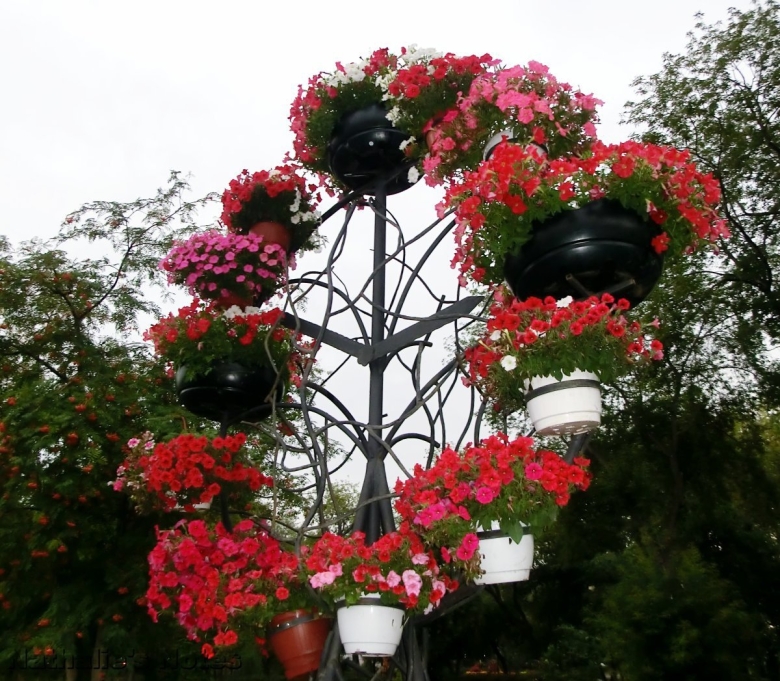 Петуниевое дерево