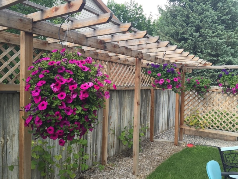Пергола пирамида клематис