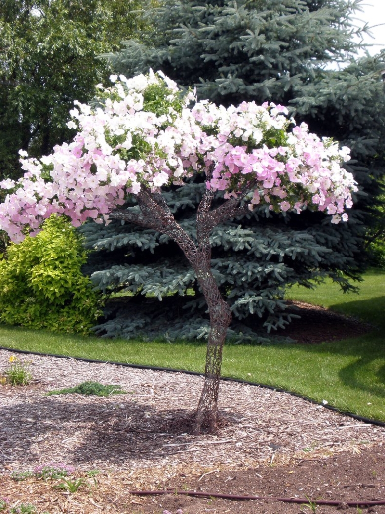 Дерево для петунии