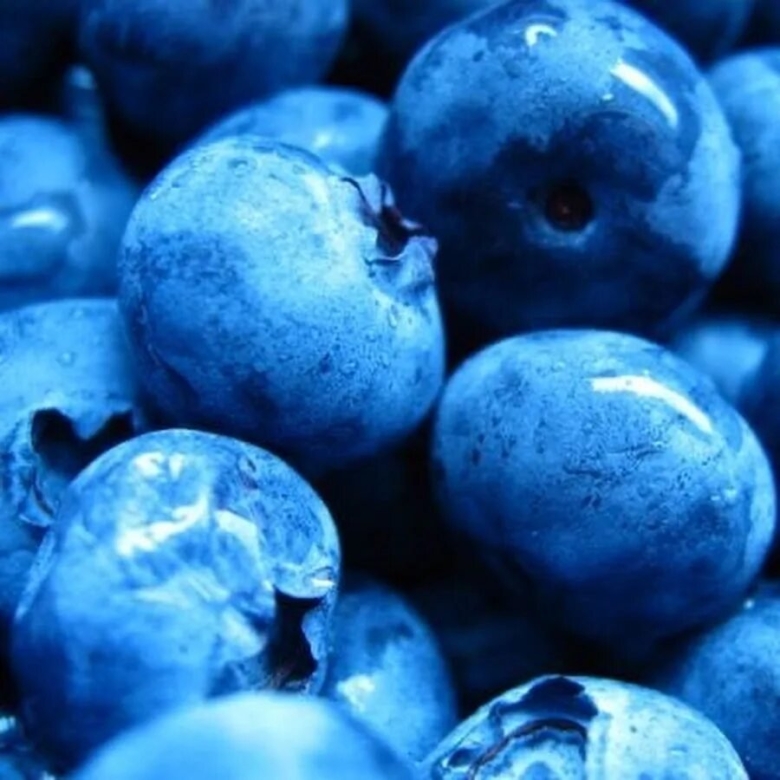 Палитра голубика черника