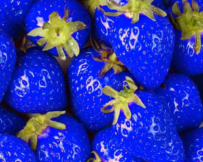 Клубника Тайгер Блю