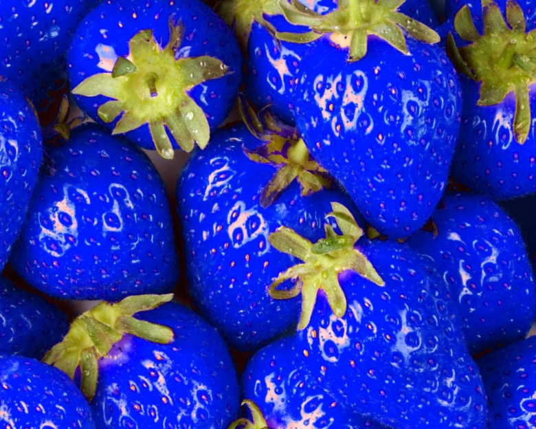 Клубника Тайгер Блю