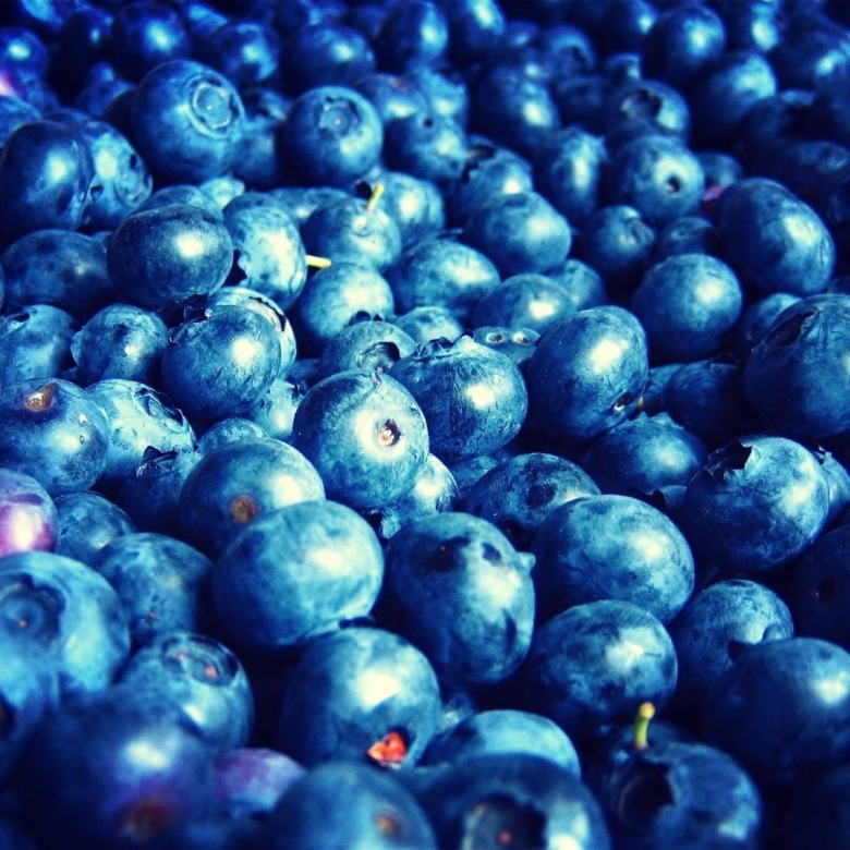 Голубика Ранкокас